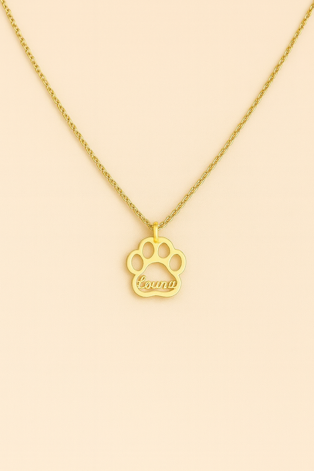 Collier MiniPaw - Personnalisé
