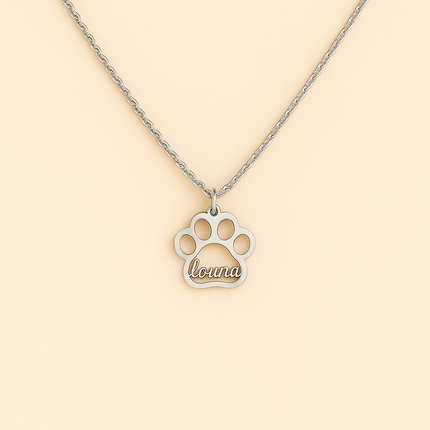 Collier MiniPaw - Personnalisé